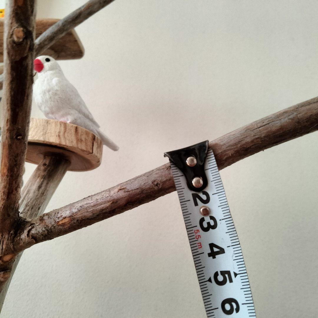 バードアスレチックジム大型 ㊶ 天然木 自然木 流木 インコ おもちゃ