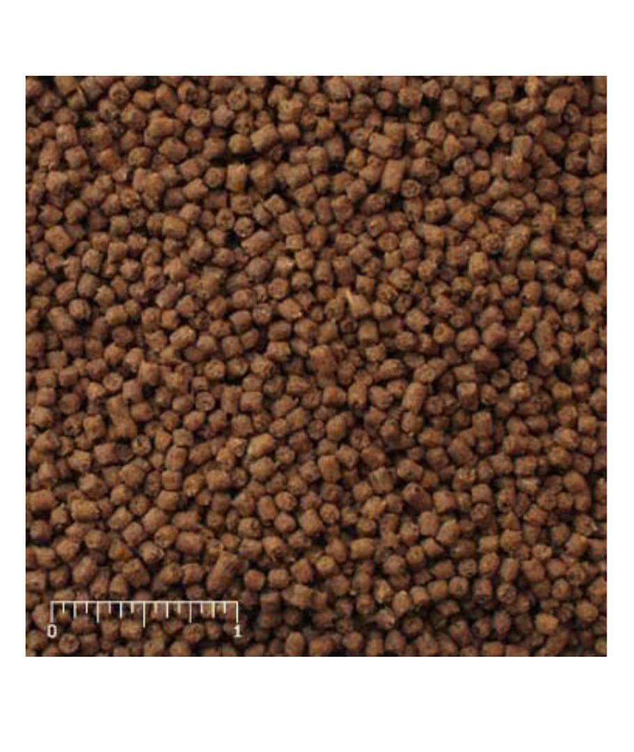 Mazuriインセクティボアダイエット11.34kg