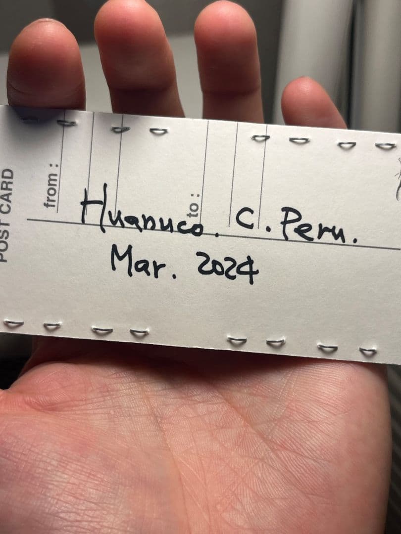 【未展足83mm】ギガンテウスシワバネクワガタ 昆虫標本 ニジイロクワガタ