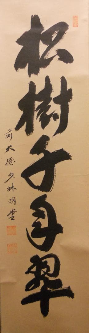 掛け軸 少林寺 横井明堂 筆「 松寿千年翠 」 紙本 茶掛 掛軸 美品