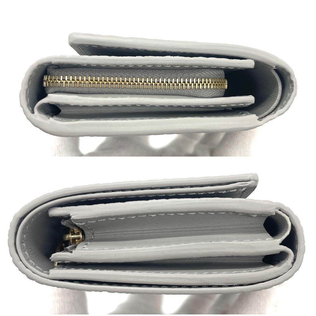 未使用！ルイヴィトン カプシーヌ タイニー グレー M12406