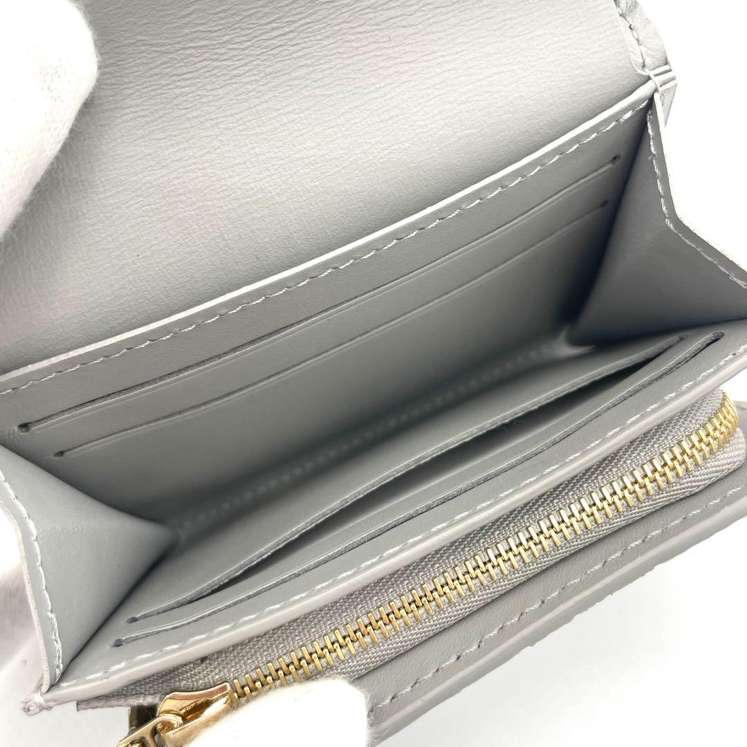 未使用！ルイヴィトン カプシーヌ タイニー グレー M12406