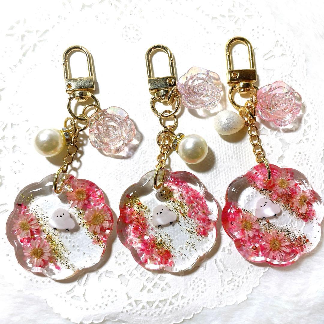 さわえ 8月末までお取り置き