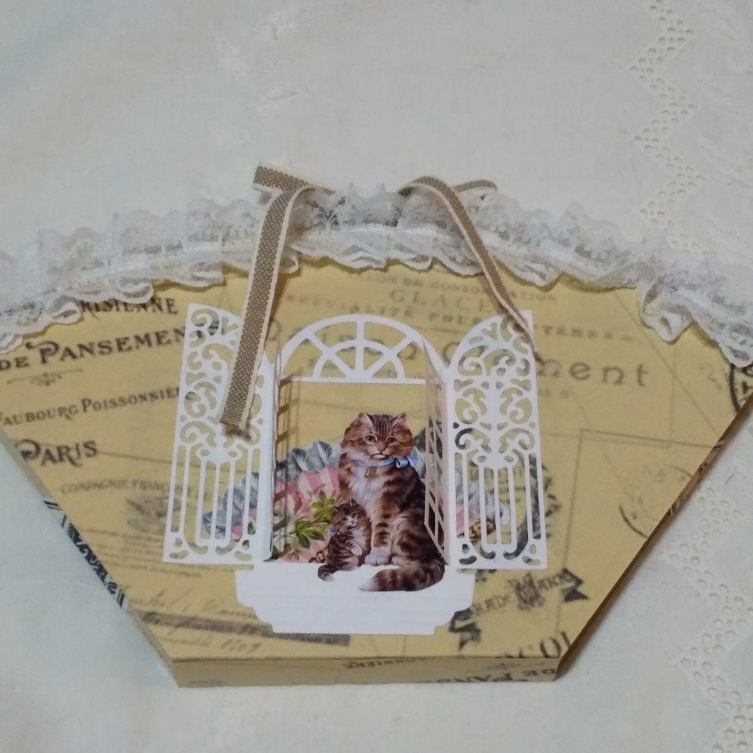 ジャバラファイル　ヴィクトリアン　猫ちゃん　レース