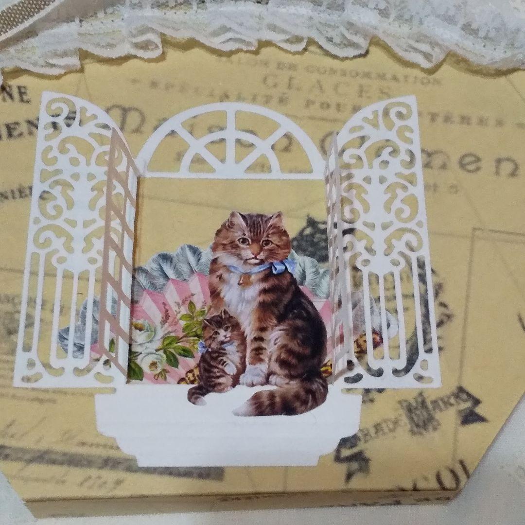 ジャバラファイル　ヴィクトリアン　猫ちゃん　レース