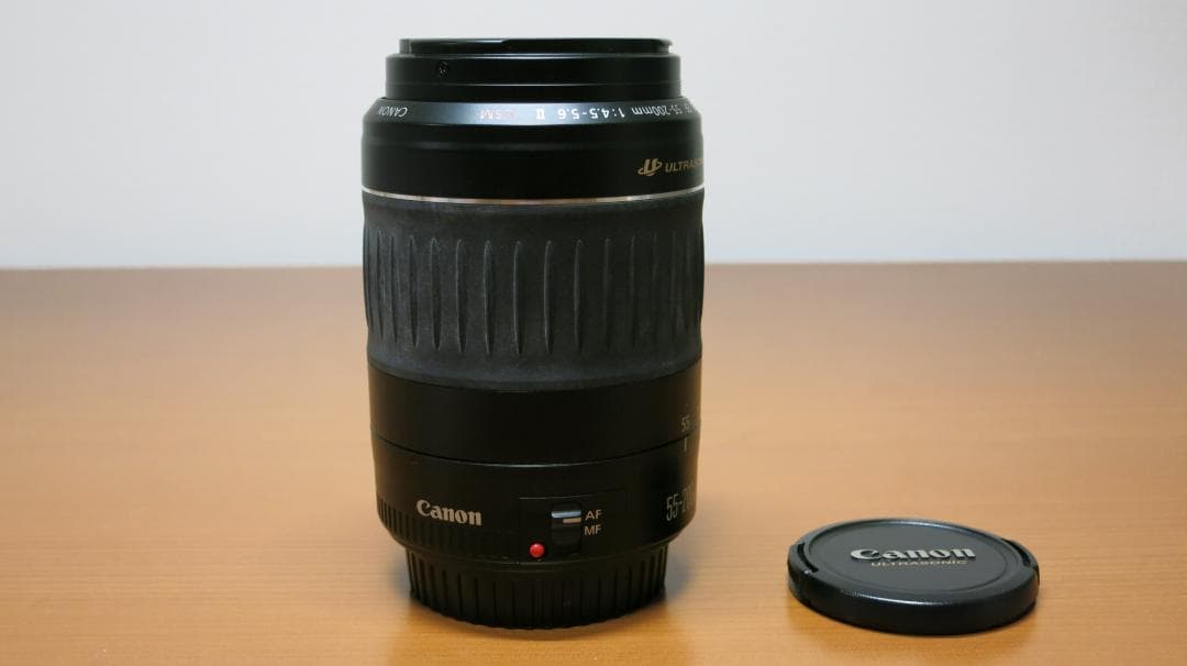 キャノン EF 55-200mm F4.5-5.6 Ⅱ USM #s-14