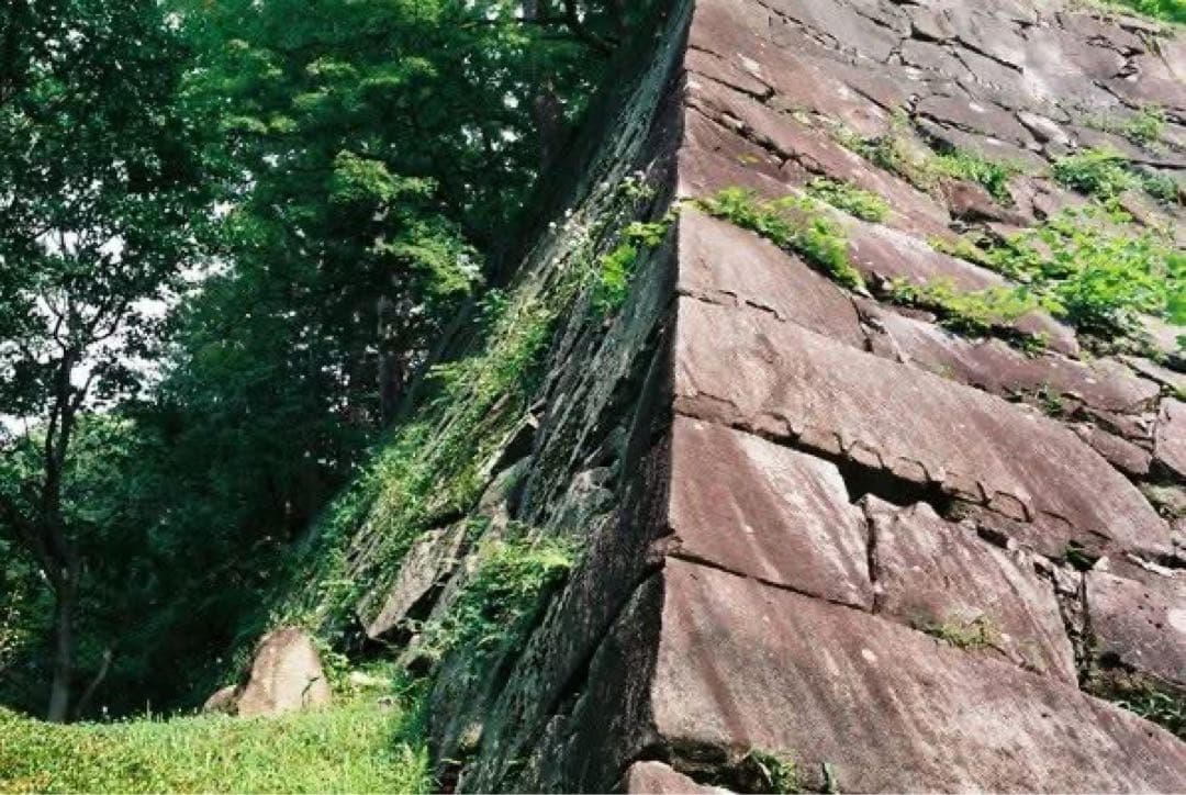 【ジャンク】Rollei 35 T コンパクトフィルムカメラ