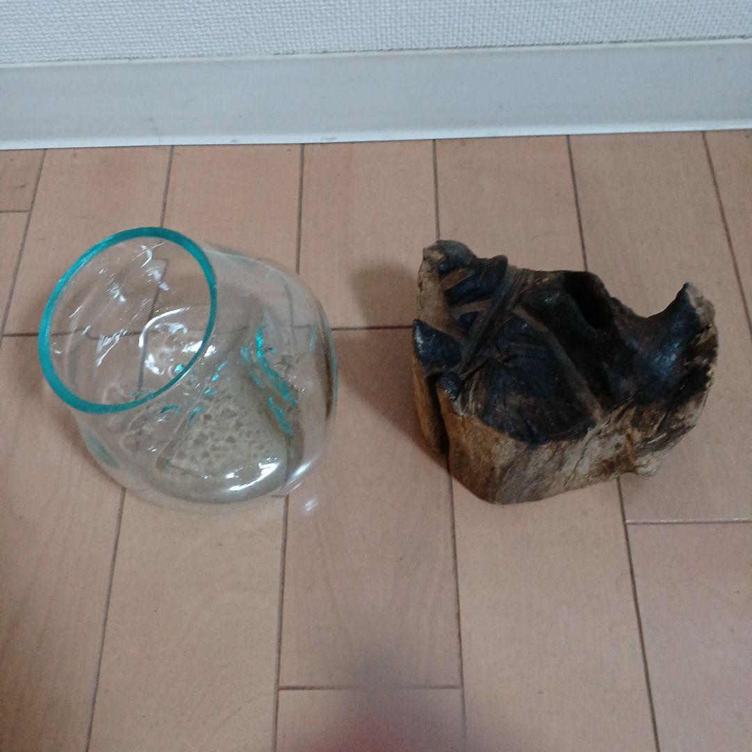 アクアリウム　ボトル&流木セット