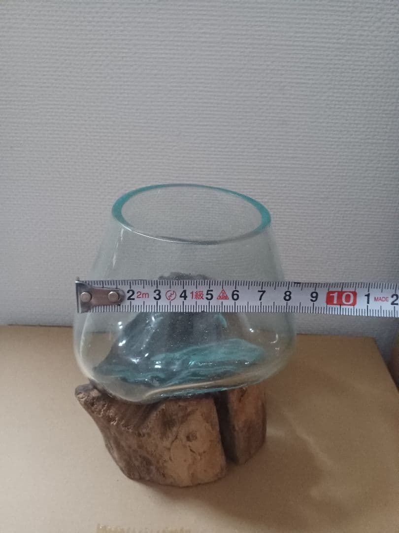 アクアリウム　ボトル&流木セット