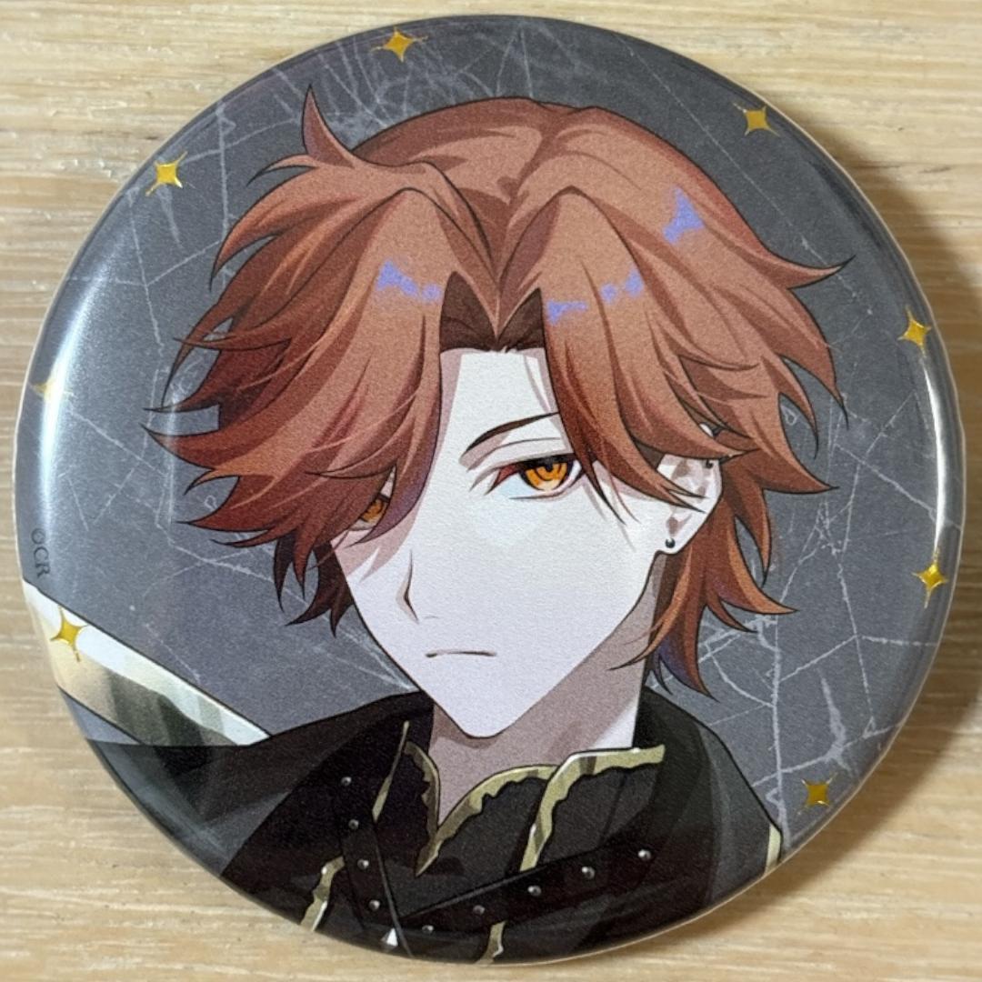 ありさか Arisakaaa CR HW2025 缶バッジ 10個