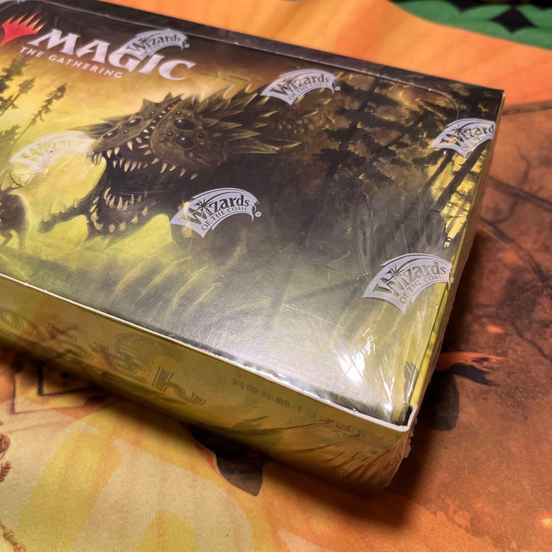 MTG 時のらせん リマスター ドラフトブースター 1BOX 日本語版