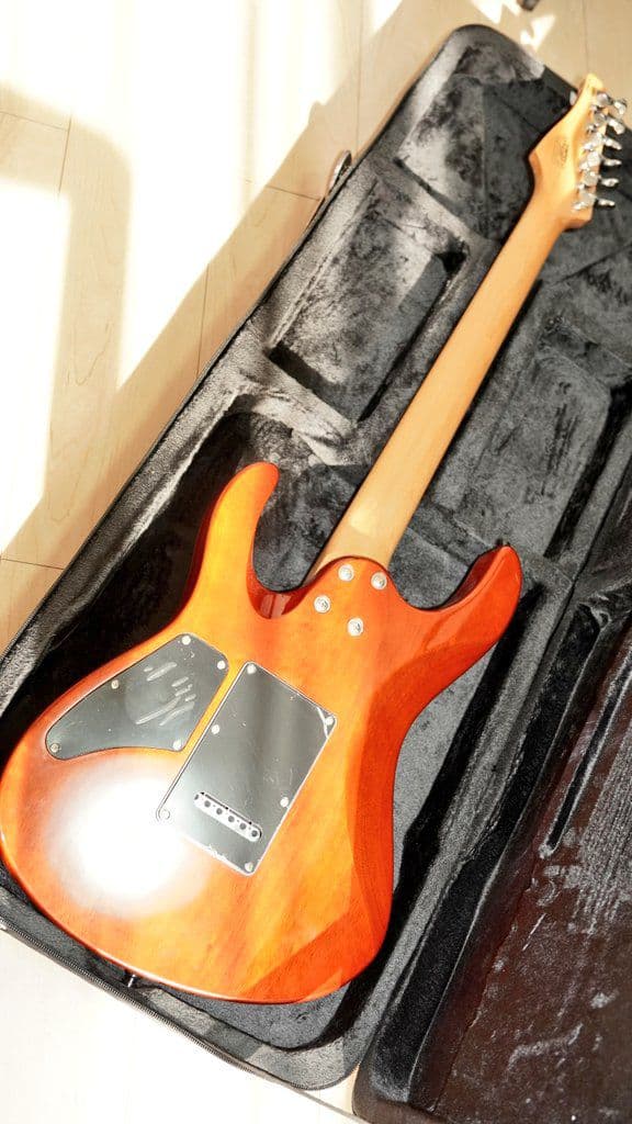 eart エレキギター 虎目トップ ステンレスフレット 薄Dネッ