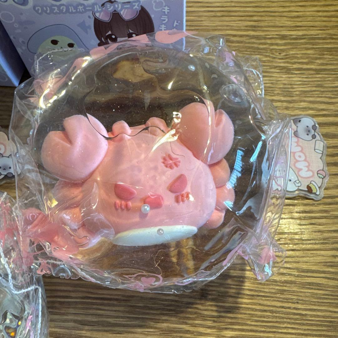 は*な様 バラ売り不可❌ momo スクイーズ 海洋 5点 被りなし ※付属箱畳
