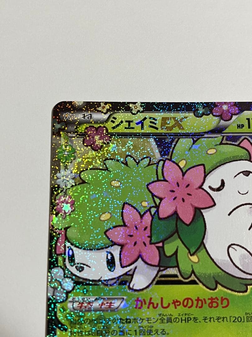 シェイミEX ポケキュン