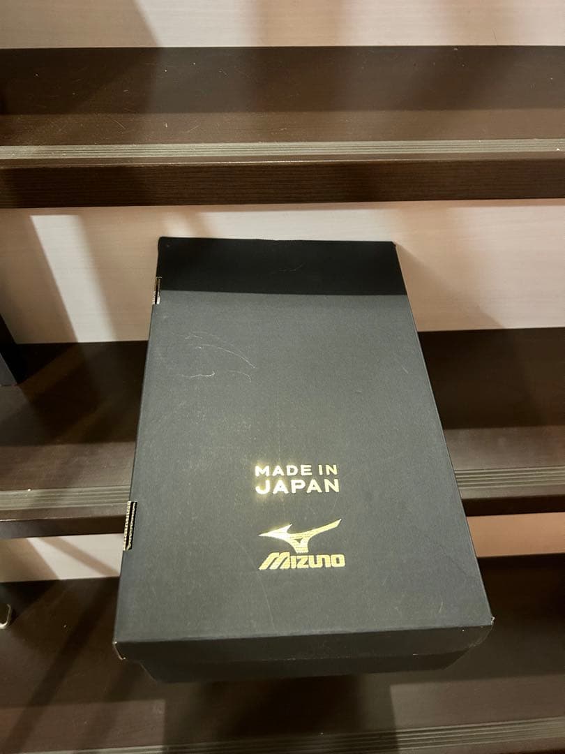 Mizuno ボクシングシューズ ブラック/シルバー