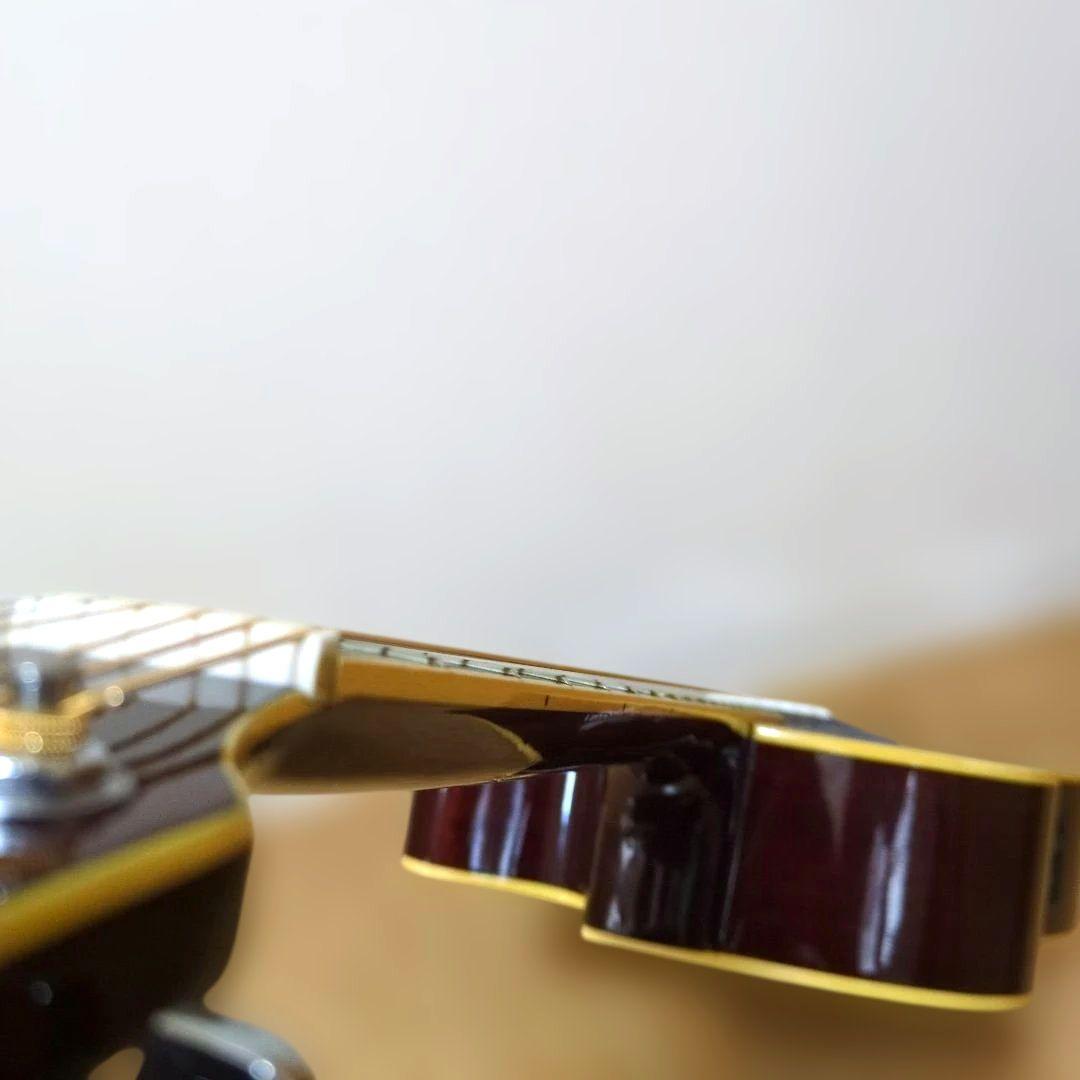 Pro Martin EA500W VS エレアコ