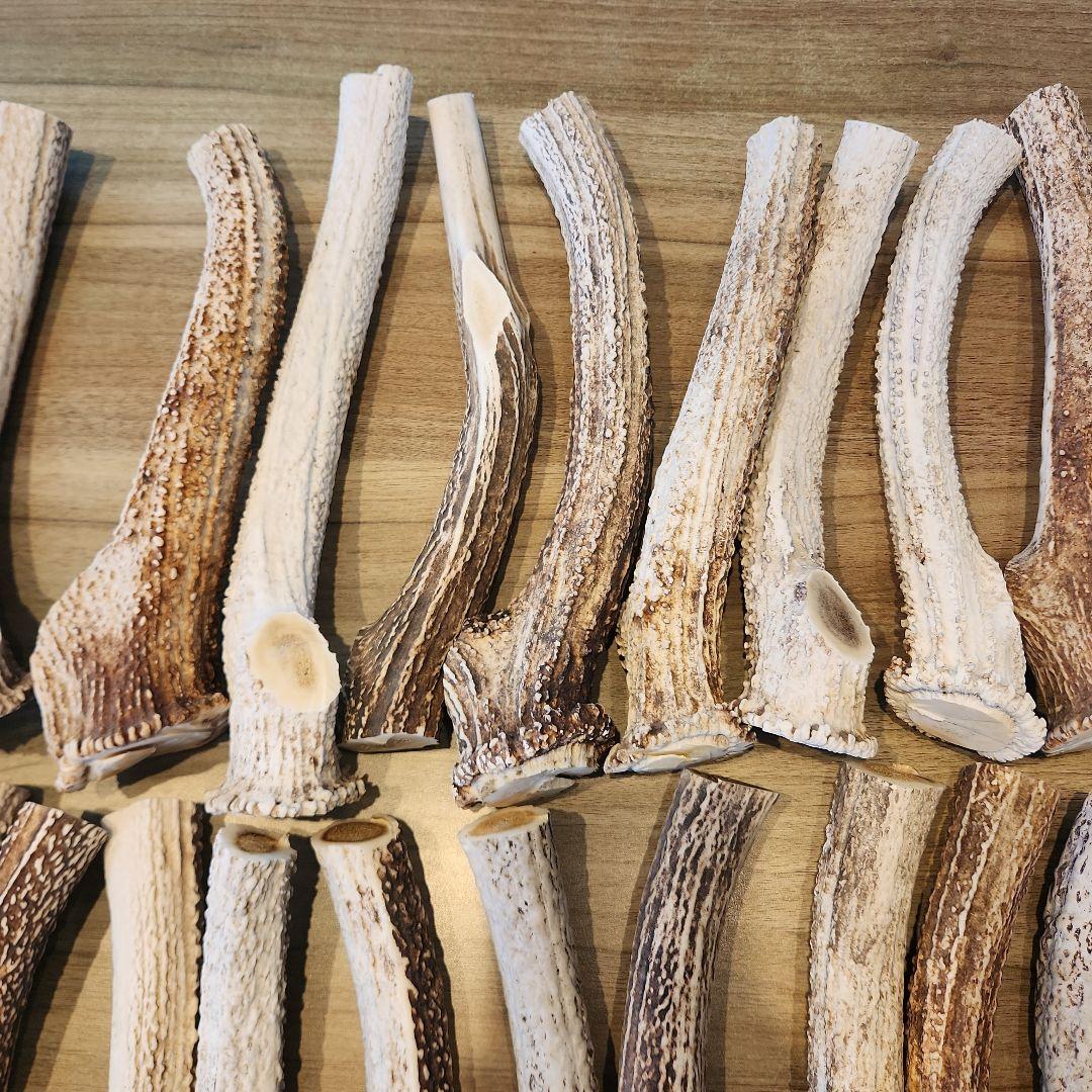 鹿の角 (特大～大サイズ)犬用おもちゃ ランダム　10kg