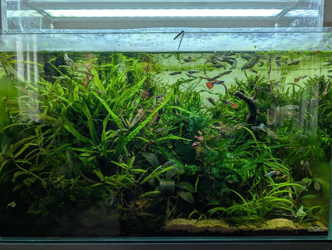 美品 ゼンスイ ZR-130E 水槽用クーラー 完動品