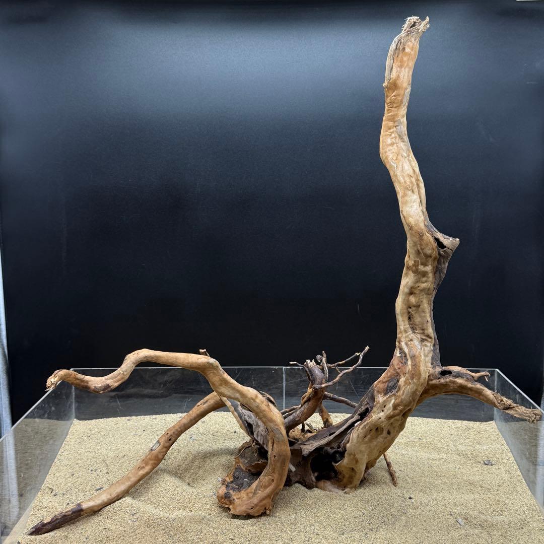 MDW-6908 特大ブランチウッド　流木　枝流木　アクアリウム