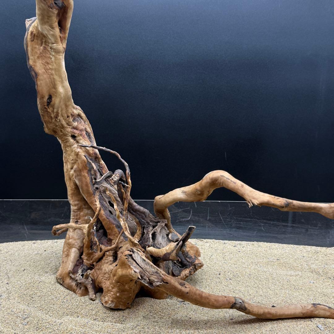 MDW-6908 特大ブランチウッド　流木　枝流木　アクアリウム