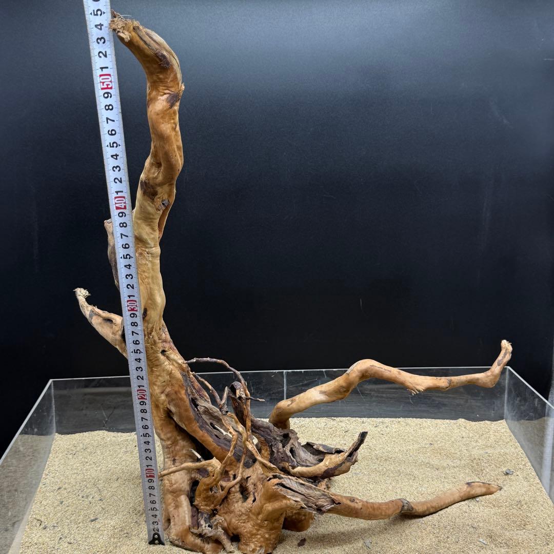 MDW-6908 特大ブランチウッド　流木　枝流木　アクアリウム