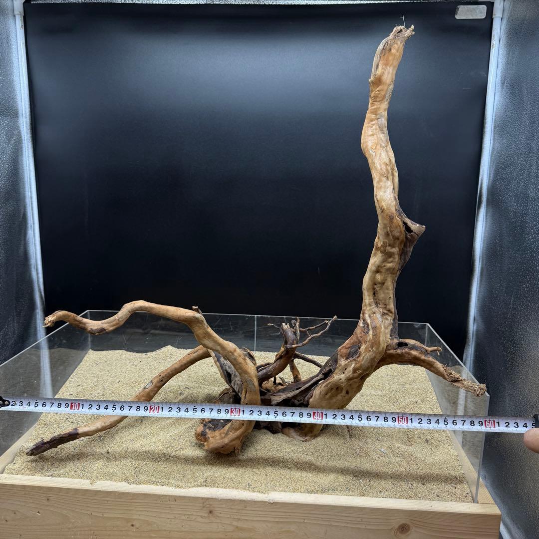 MDW-6908 特大ブランチウッド　流木　枝流木　アクアリウム