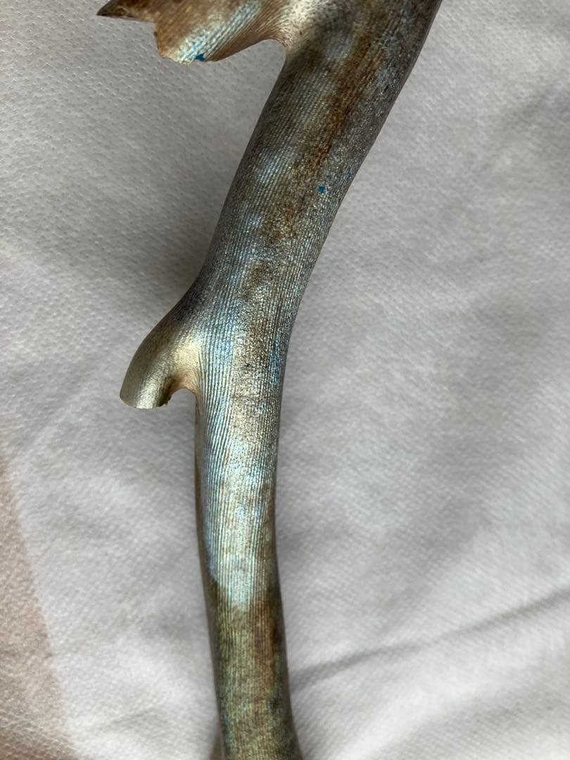 【最高級品】レインボーコーラル、深海松