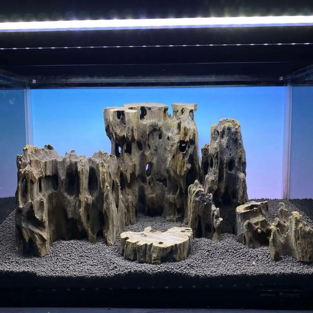 「サファリ」気孔石2kg　3-15cmランダム発送　MMW-6270追加