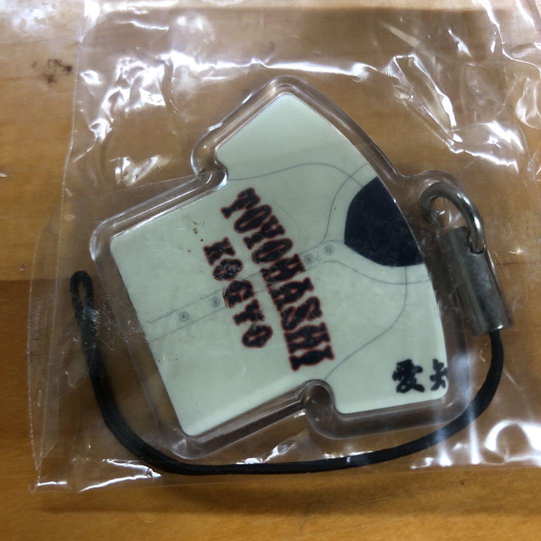 甲子園桃太郎  豊橋工業高校