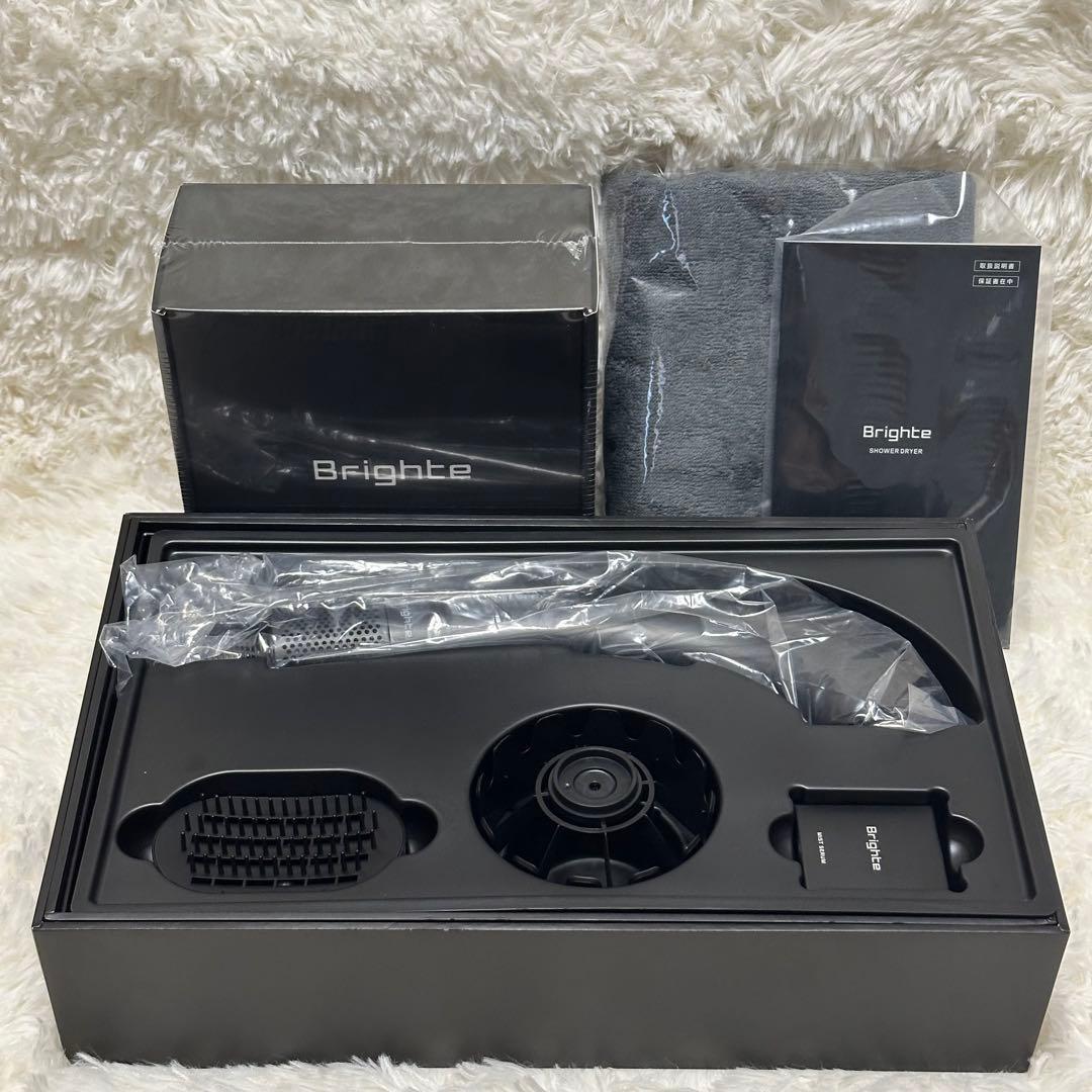 未使用Brighte SHOWER DRYER ブライト ドライヤー　スタンド
