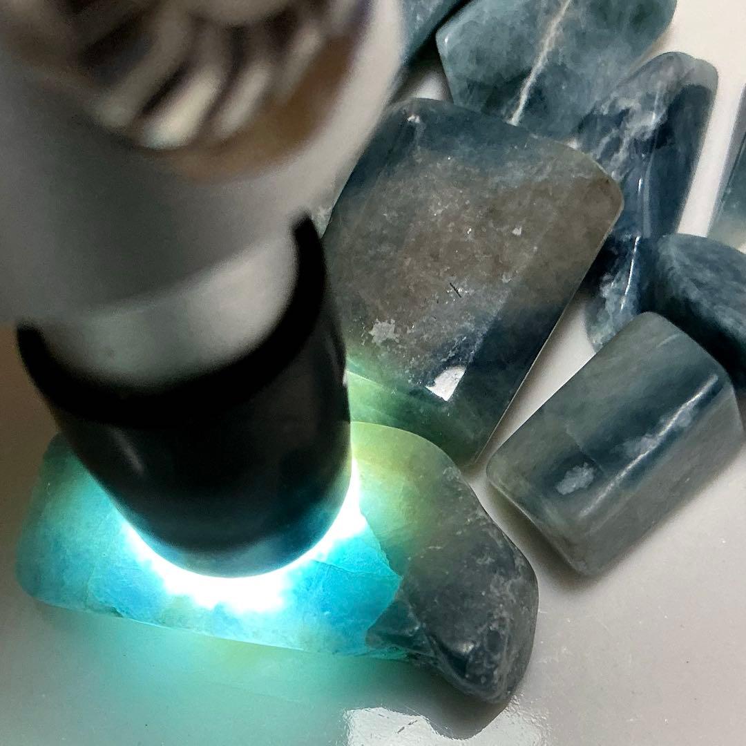 【専用】コン沢翡翠　ニノ型　可愛い過ぎる5つ子⑤（1番右の子）