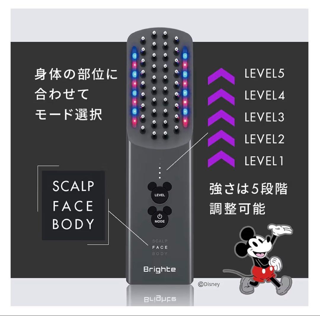 Brighte ELEKIBRUSH+（エレキブラシ）　ミッキーマウス特別モデル