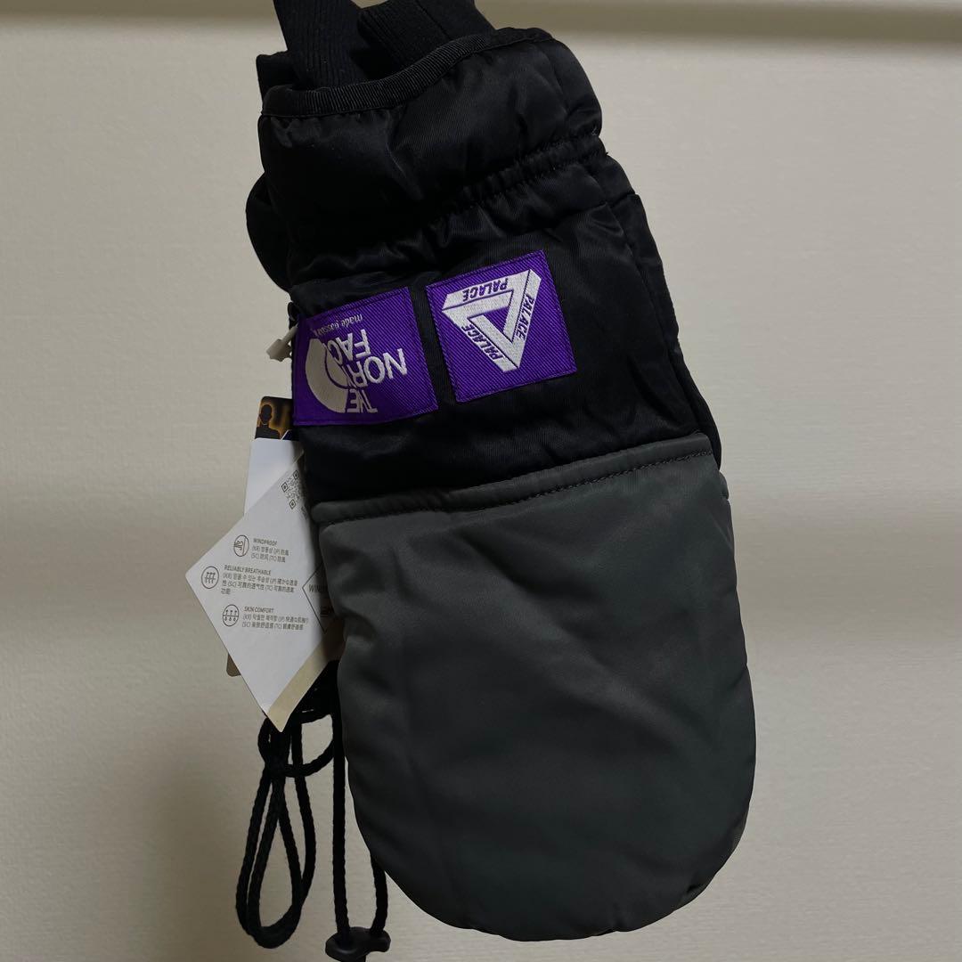 【PALACE × THE NORTH FACE】BACKPACK GREEN