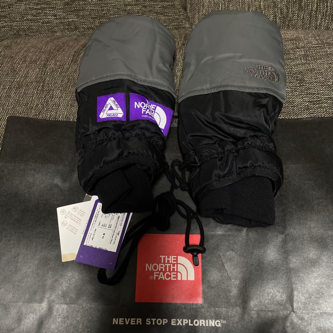 【PALACE × THE NORTH FACE】BACKPACK GREEN