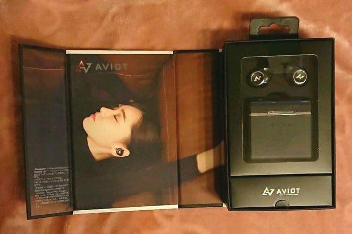 ヘッドホン AVIOT TE-D01D MK2-BK