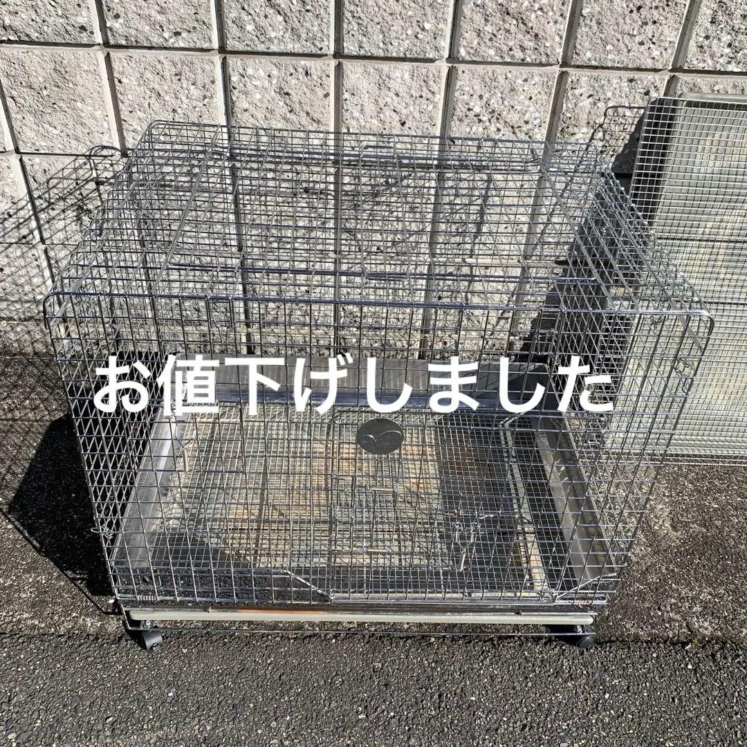 うさぎのしっぽ　オリジナル　プロケージ80