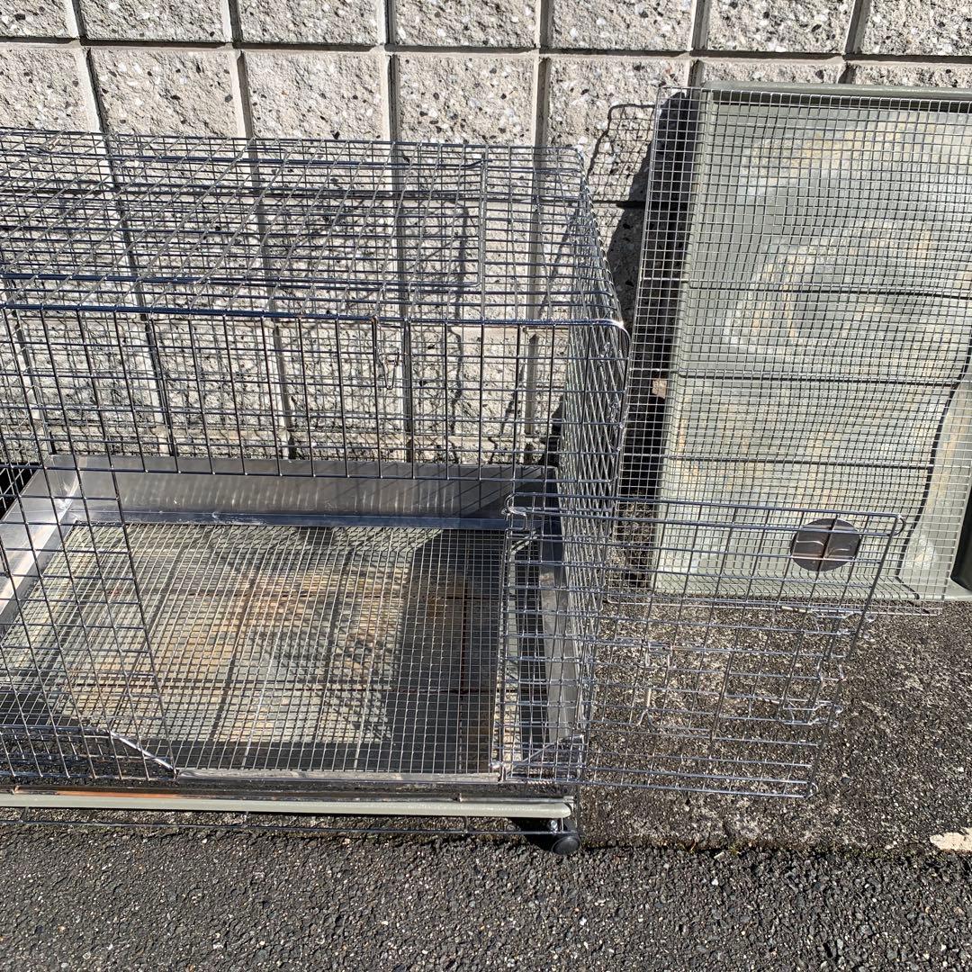 うさぎのしっぽ　オリジナル　プロケージ80