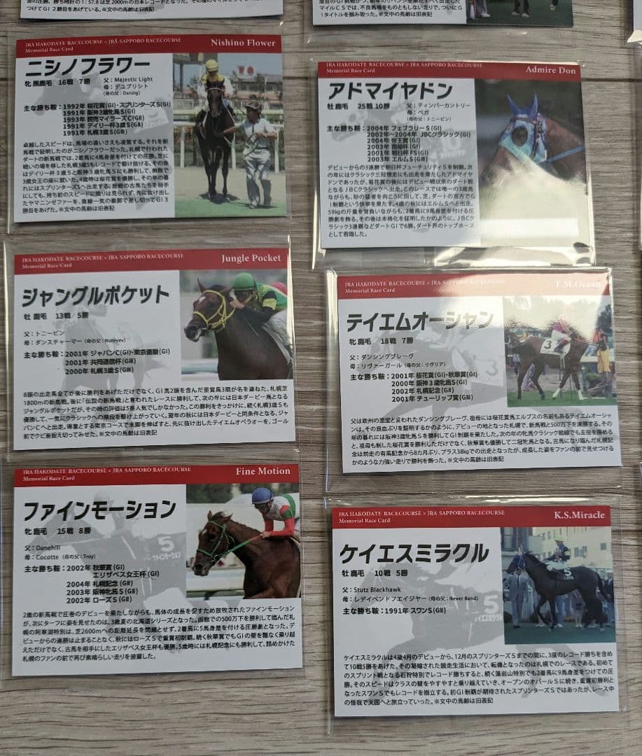 函館競馬場 札幌競馬場 メモリアル カード 26枚 競馬 競走馬 ウマ娘 グッズ