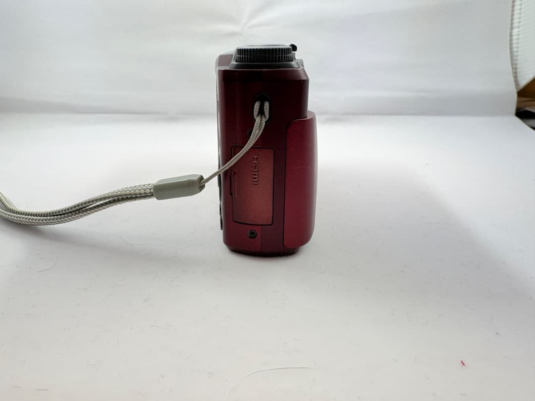 Panasonic　LUMIX DMC-TZ55　デジタルカメラ　Wi-Fi機能