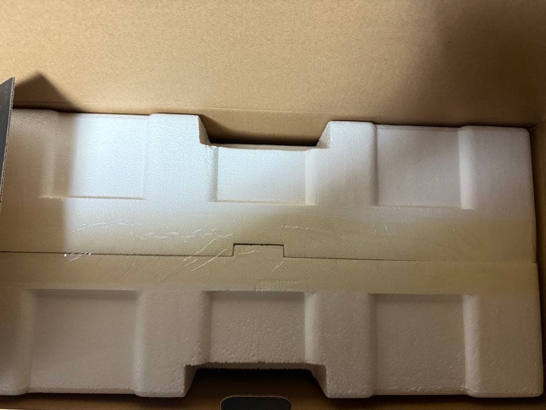 【未開封品】GANTZ:O レイカ ブラックVer. プレミアムマスターライン