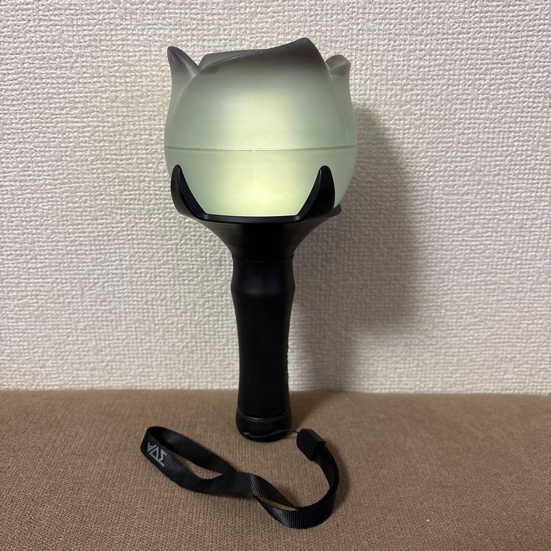 HIGHLIGHT (BEAST) ペンライト２本セット　※点灯確認済