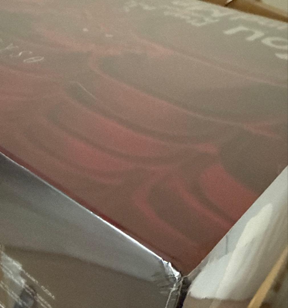 【値下げ】SKULLPANDA You Found Me! アソート