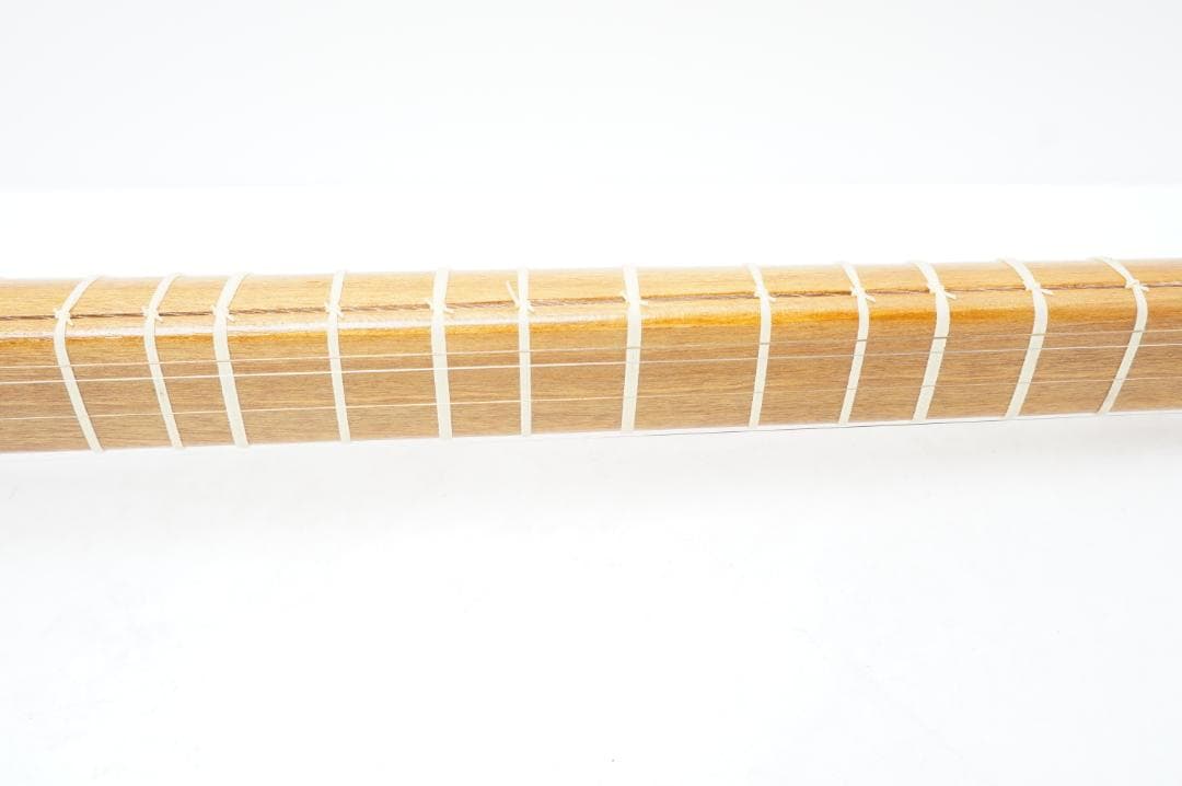 セタール　弦楽器　アジア　民族　リュート系