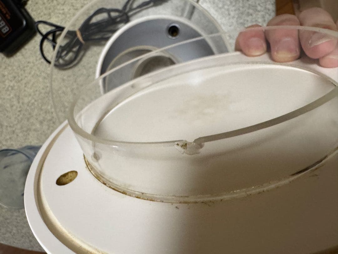 cocospgmey.i  Maxspect プロテインスキマー