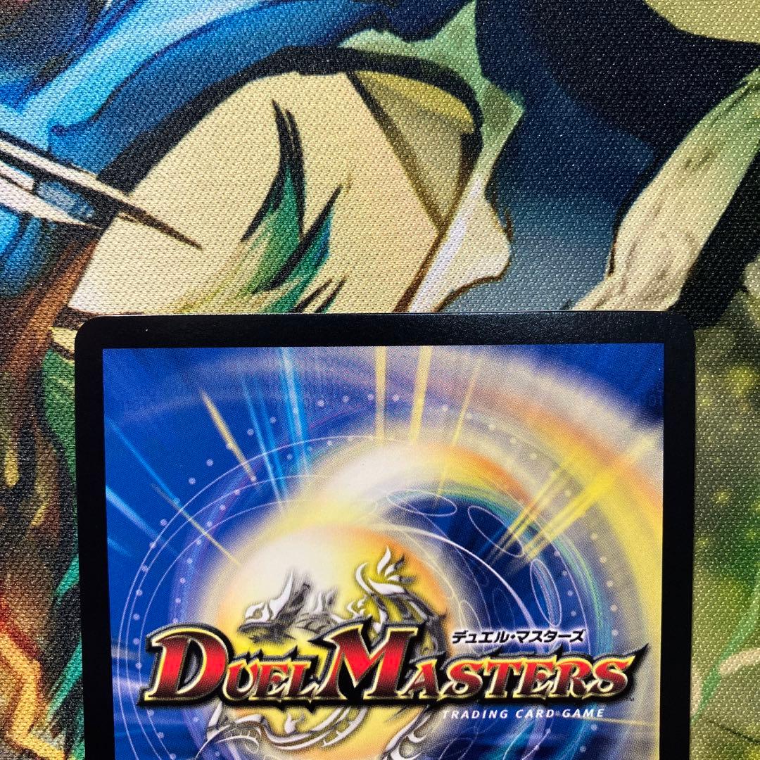 飛翔龍5000vt ダイヤモンド シク