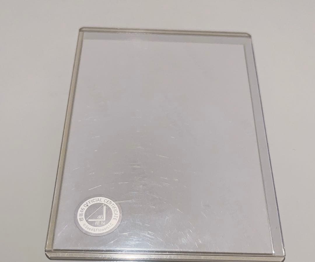 櫻坂46 遠藤理子 直筆サイン 生写真 三期生ブックレット衣装 おまけ3枚目