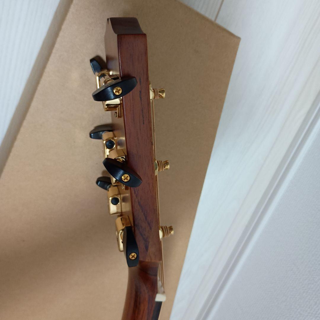 SX DG-LTD2 アコースティックギター