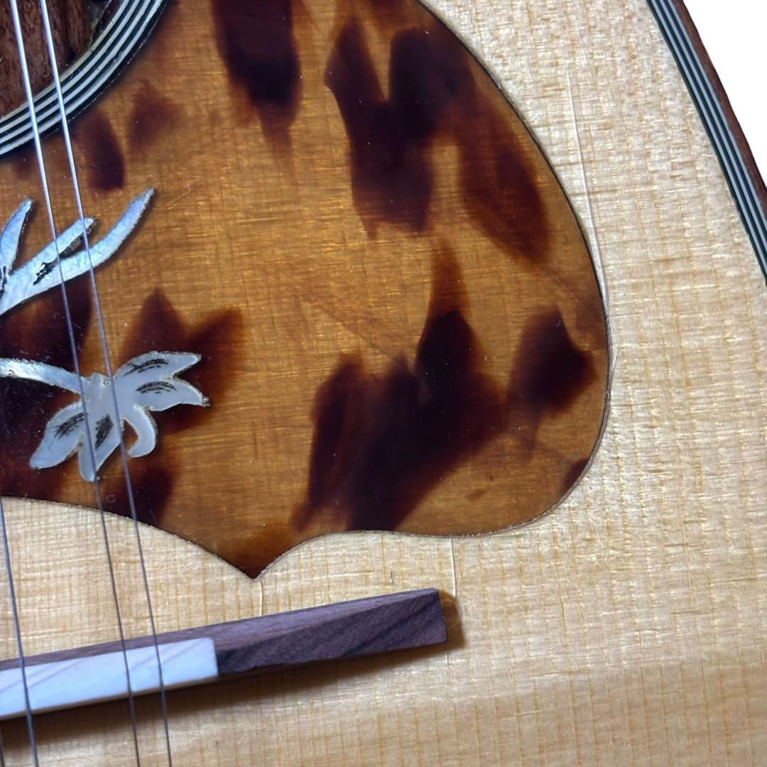 ケース付 RAFFAELE CALACE Type26 ラファエレ カラーチェ