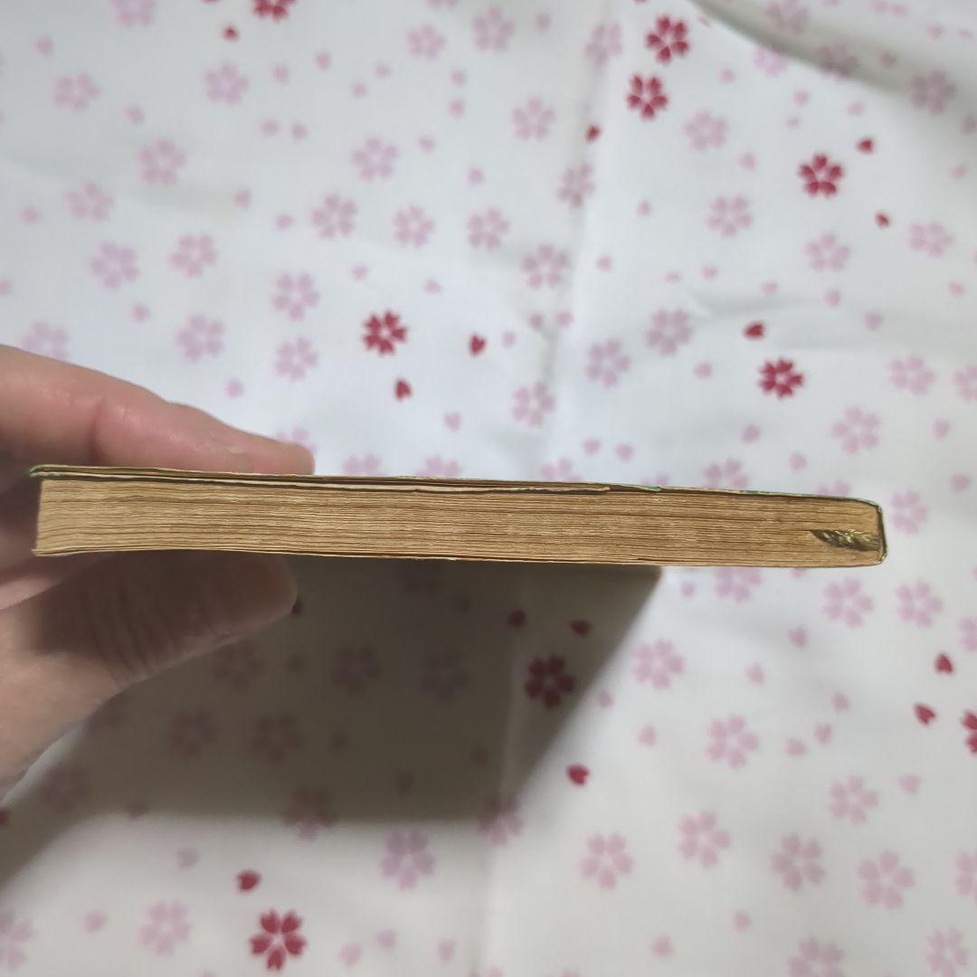 オランダの犯罪　ジョルジュ・シムノン