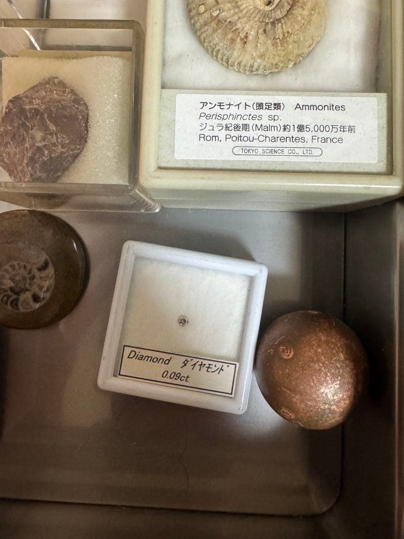 天然石・化石コレクション　まとめ売り